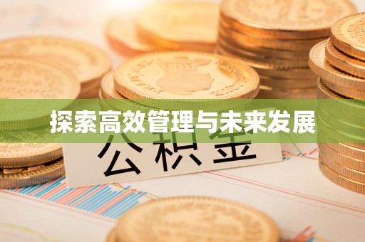 绥棱探索高效管理与未来发展