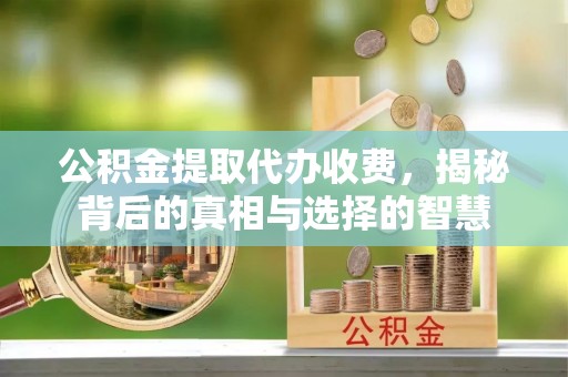 绥棱公积金提取代办收费，揭秘背后的真相与选择的智慧