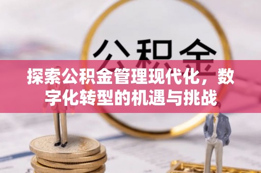 绥棱探索公积金管理现代化，数字化转型的机遇与挑战