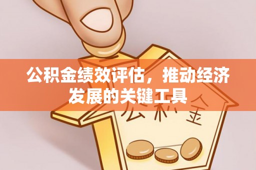 绥棱公积金绩效评估，推动经济发展的关键工具