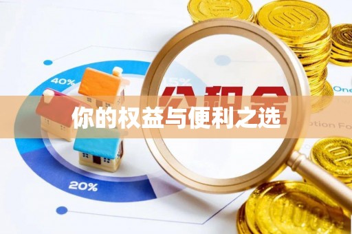 绥棱你的权益与便利之选
