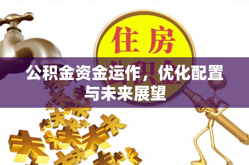 绥棱公积金资金运作，优化配置与未来展望