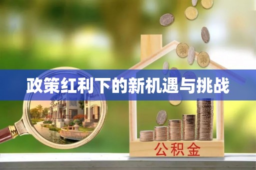绥棱政策红利下的新机遇与挑战