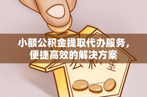 绥棱小额公积金提取代办服务，便捷高效的解决方案