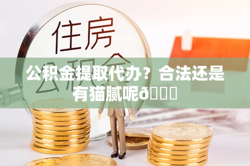 绥棱公积金提取代办？合法还是有猫腻呢😏