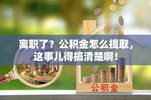 绥棱离职了？公积金怎么提取，这事儿得搞清楚啊！