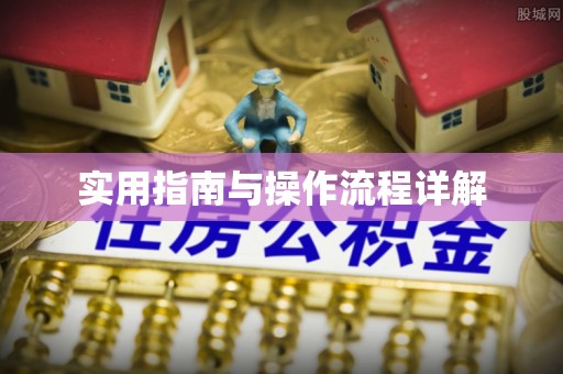 绥棱实用指南与操作流程详解