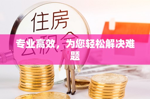 绥棱专业高效，为您轻松解决难题