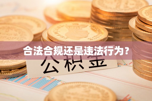绥棱合法合规还是违法行为？