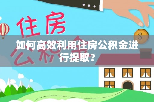 绥棱如何高效利用住房公积金进行提取？