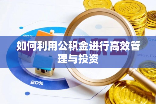 绥棱如何利用公积金进行高效管理与投资
