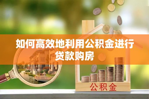 绥棱如何高效地利用公积金进行贷款购房
