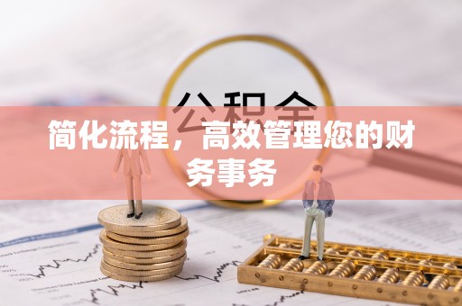 绥棱简化流程，高效管理您的财务事务