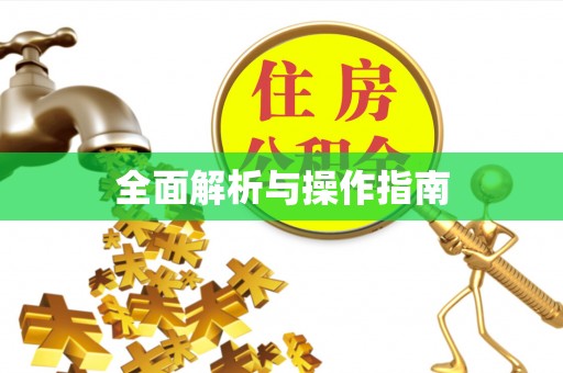 绥棱全面解析与操作指南