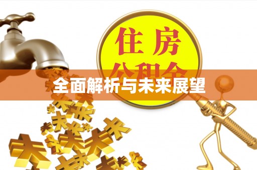 绥棱全面解析与未来展望