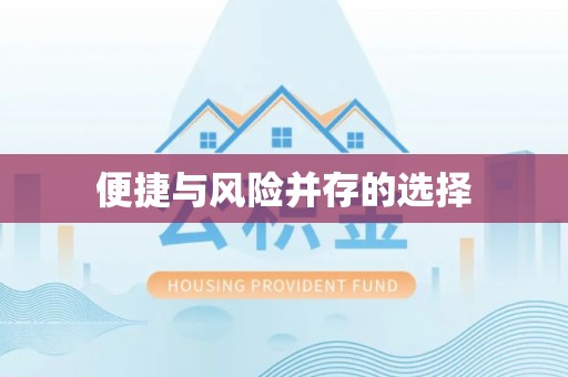 绥棱便捷与风险并存的选择