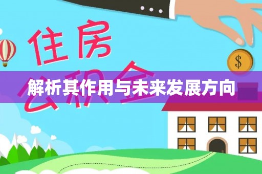 绥棱解析其作用与未来发展方向