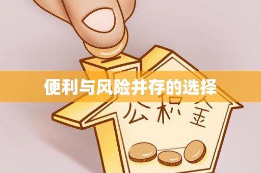 绥棱便利与风险并存的选择