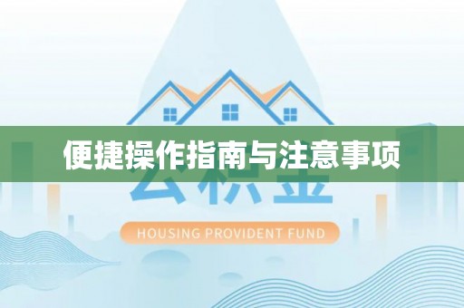 绥棱便捷操作指南与注意事项