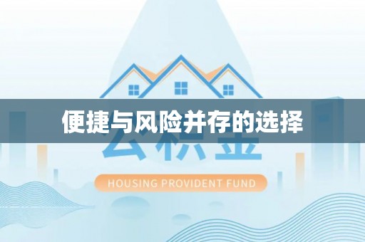 绥棱便捷与风险并存的选择